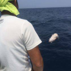 「LaGooN」蒼陽丸 日和号 釣果