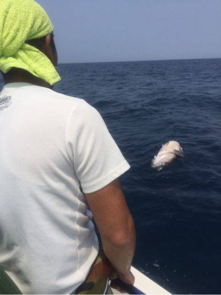 「LaGooN」蒼陽丸 日和号 釣果