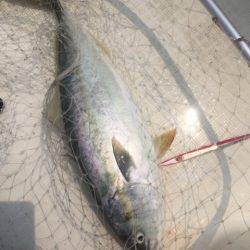 「LaGooN」蒼陽丸 日和号 釣果