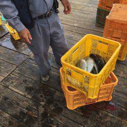 釣り堀水宝 釣果