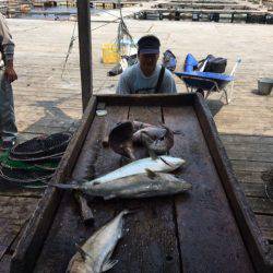釣り堀水宝 釣果