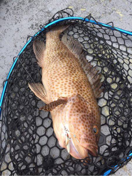 第二 海洋丸 釣果