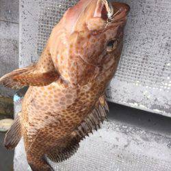 第二 海洋丸 釣果