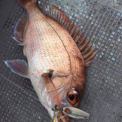 第二 海洋丸 釣果