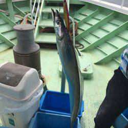 ヤザワ渡船 釣果