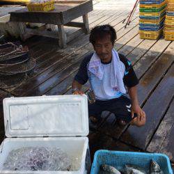釣り堀水宝 釣果