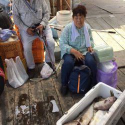 釣り堀水宝 釣果