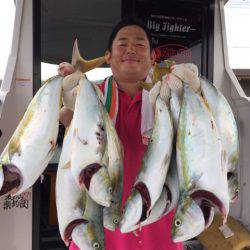ビッグファイター 釣果