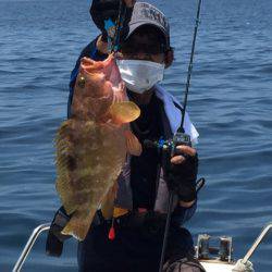 「LaGooN」蒼陽丸 日和号 釣果