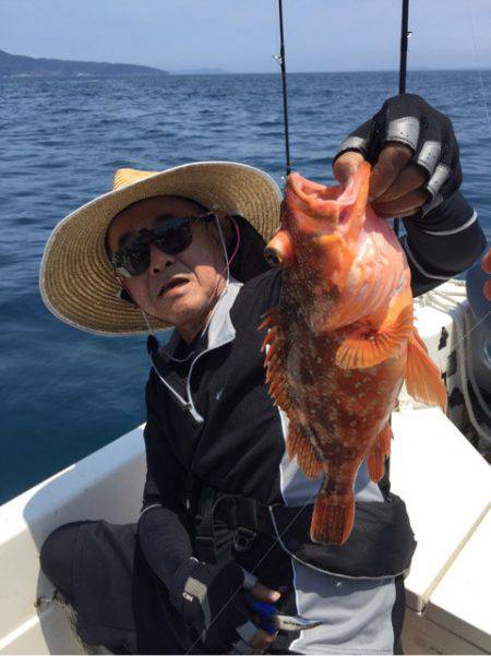 「LaGooN」蒼陽丸 日和号 釣果