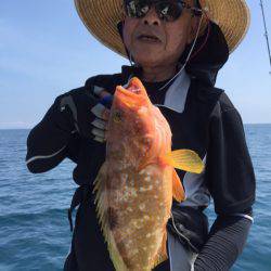 「LaGooN」蒼陽丸 日和号 釣果