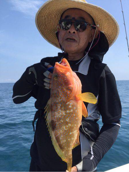 「LaGooN」蒼陽丸 日和号　 釣果