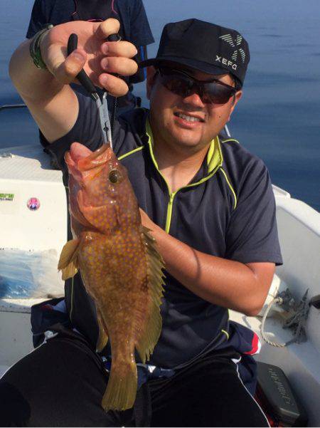 「LaGooN」蒼陽丸 日和号 釣果