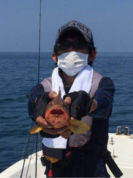 「LaGooN」蒼陽丸 日和号 釣果