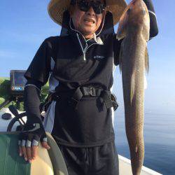 「LaGooN」蒼陽丸 日和号 釣果