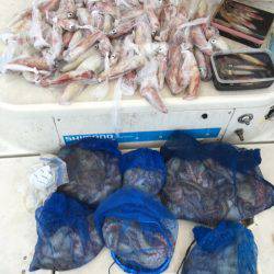 末広丸(熊本) 釣果