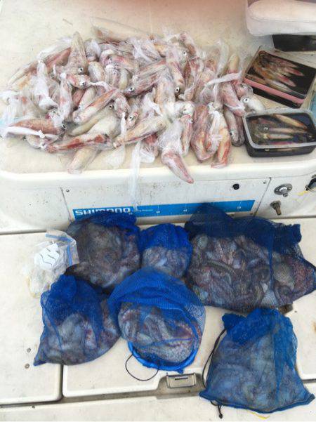 末広丸(熊本) 釣果