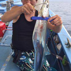 ヤザワ渡船 釣果