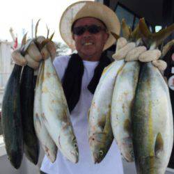 ビッグファイター 釣果