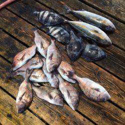 釣り堀水宝 釣果