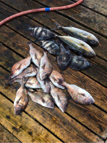 釣り堀水宝 釣果