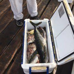 釣り堀水宝 釣果