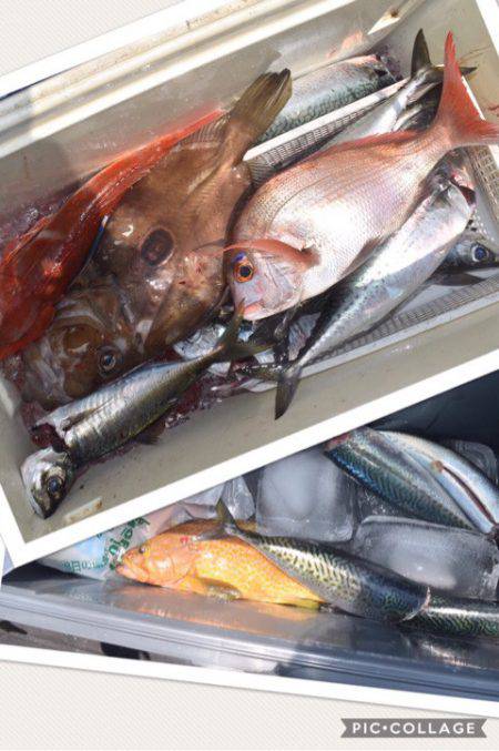 渡船屋たにぐち 釣果