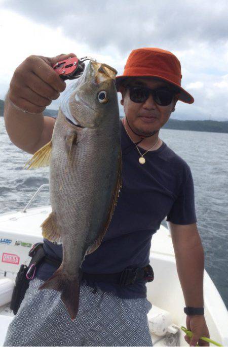 「LaGooN」蒼陽丸 日和号 釣果