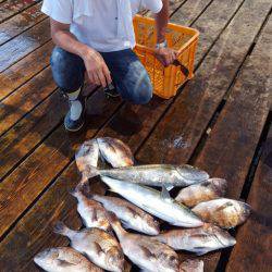 釣り堀水宝 釣果