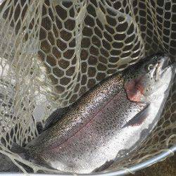 平谷湖フィッシングスポット 釣果