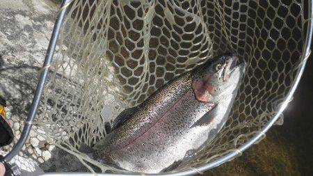 平谷湖フィッシングスポット 釣果