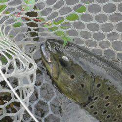 平谷湖フィッシングスポット 釣果