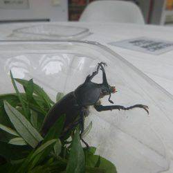 平谷湖フィッシングスポット 釣果