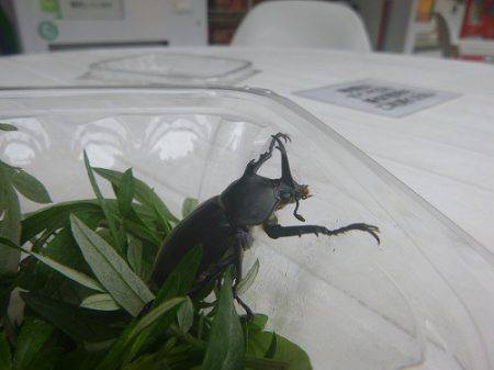 平谷湖フィッシングスポット 釣果