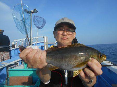 佐衛美丸 釣果