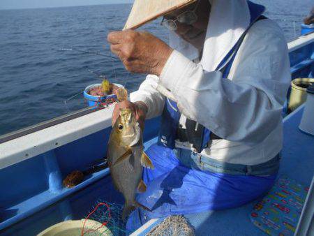 佐衛美丸 釣果