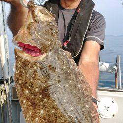 ブルースフィッシングサービス 釣果