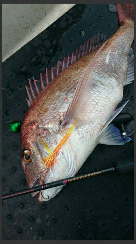 ARCADIAⅡ (アルカディアⅡ) 釣果