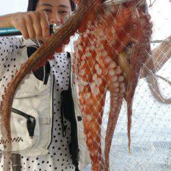 遊漁船 家入 釣果