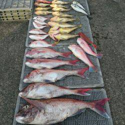 ARCADIAⅡ (アルカディアⅡ) 釣果