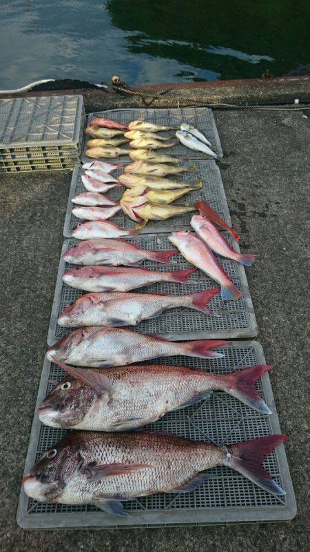 ARCADIAⅡ （アルカディアⅡ） 釣果…