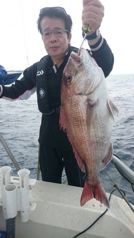 ARCADIAⅡ (アルカディアⅡ) 釣果