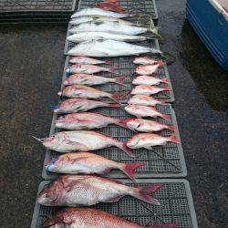 ARCADIAⅡ (アルカディアⅡ) 釣果