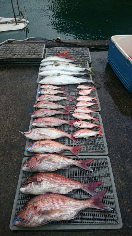 ARCADIAⅡ (アルカディアⅡ) 釣果