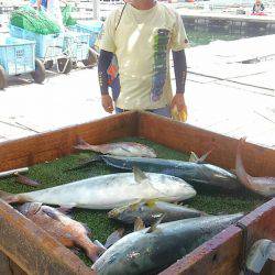 海の釣堀 海恵 釣果