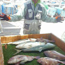 海の釣堀 海恵 釣果