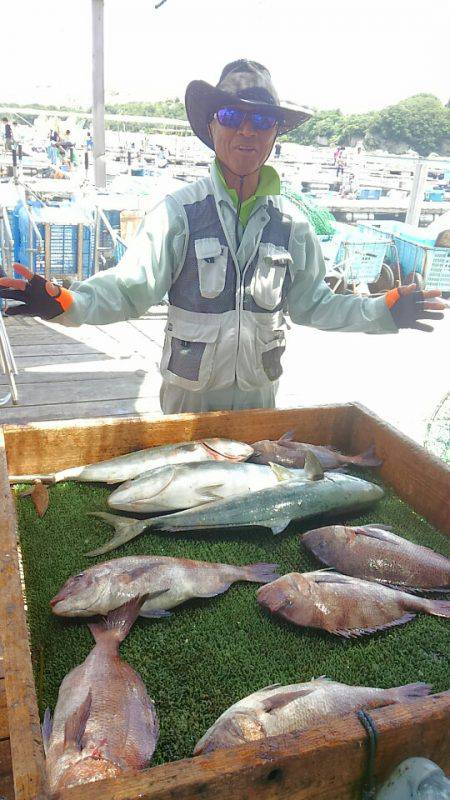 海の釣堀 海恵 釣果