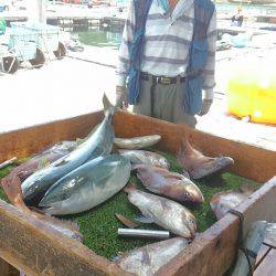 海の釣堀 海恵 釣果