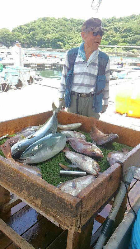 海の釣堀 海恵 釣果