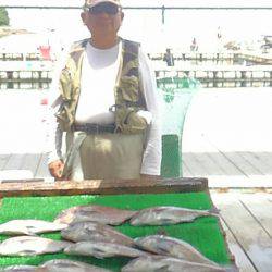 海の釣堀 海恵 釣果